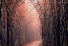 九游娱乐官网：埃及媒体：尽管连续失利，中国队教练仍对世界杯抱有希望.