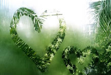 短评：燃烧你的卡路里！.